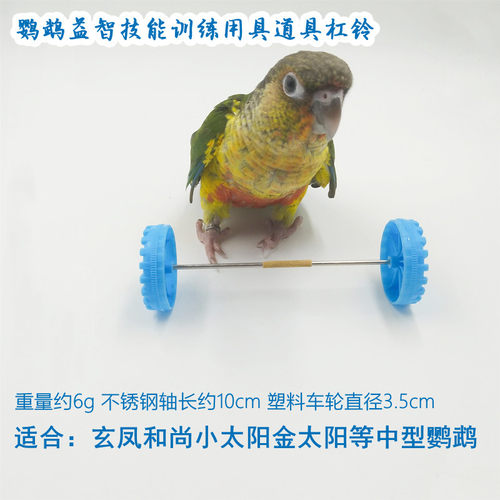 鹦鹉玩具用品玄凤中型训练