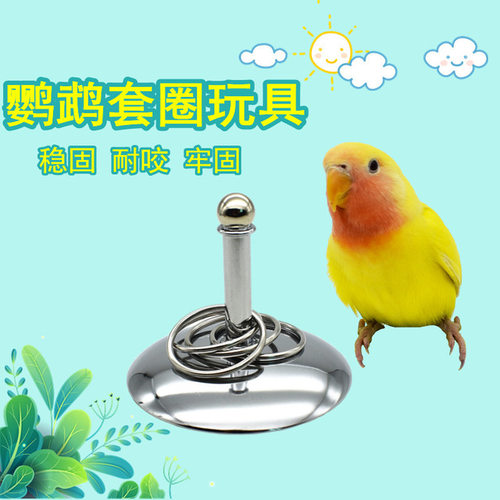 鹦鹉不锈钢套圈玩具开发智力益智