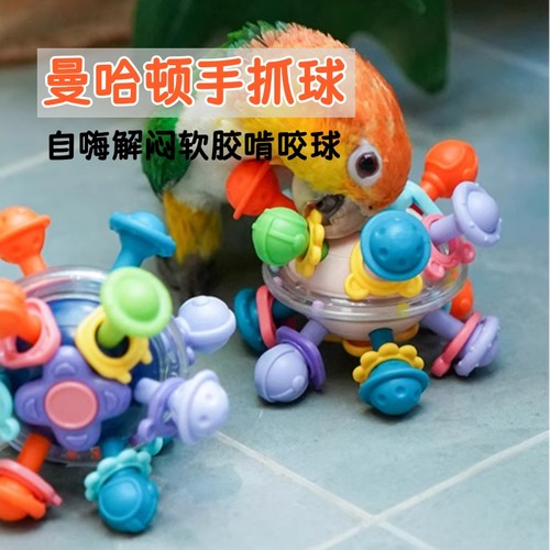 鹦鹉手抓球啃咬玩具解闷自嗨觅食