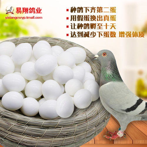 鸽具赛鸽子用品假鸽蛋仿真假蛋信鸽用品注水实心塑料假鸽子蛋批发 - 封面