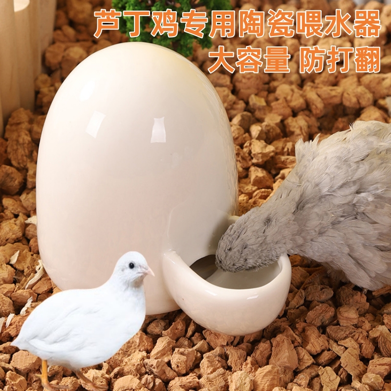 芦丁鸡陶瓷喂水器自动仓鼠