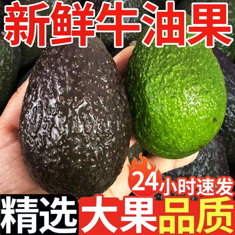 牛油果新鲜水果应当季整箱大果熟即食一级透鳄梨宝宝辅食速发包邮