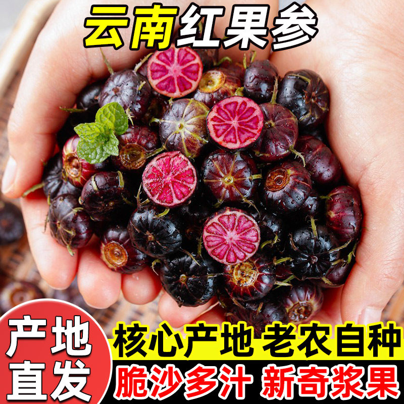 云南红果参新鲜产地直发核心产区老农自种脆沙多汁新奇浆果水果,水产肉类/新鲜蔬果/熟食,其它,淘宝优惠券,粉丝福利购,淘宝优惠卷