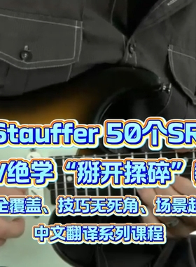 Anthony Stauffer 50个SRV怪兽乐句