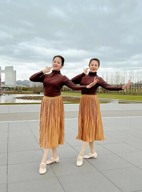 花与影新舞又是一年秋叶黄同款丝绒半身裙女秋冬显瘦百褶中长裙