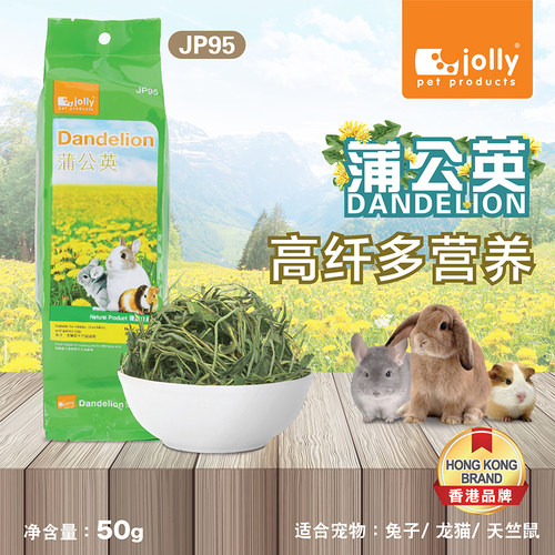 jolly祖莉蒲公英草jp95天竺鼠