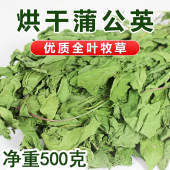 宠物蒲公英干草牧草兔子龙猫荷兰猪天竺鼠牧草清热解毒降火蒲公英