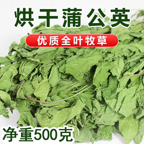 蒲公英兔子龙猫荷兰猪牧草干草