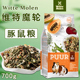 荷兰Witte Molen维特魔轮天竺鼠粮荷兰猪饲料豚鼠主粮食700g