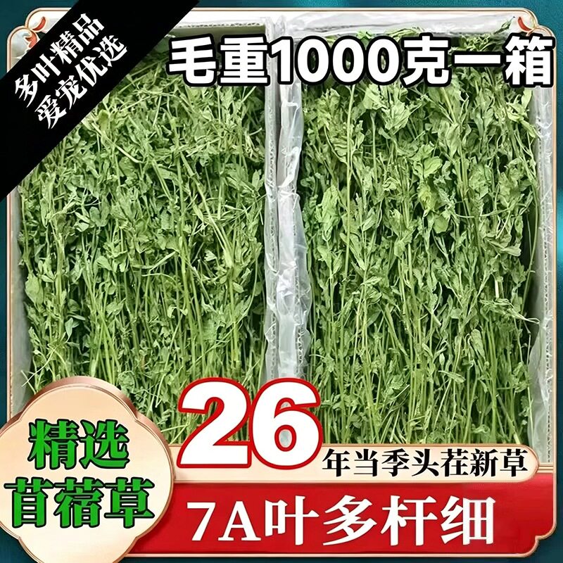 26年新草紫花苜蓿草毛重1kg兔子苜宿草龙猫豚鼠干草牧草兔草兔粮