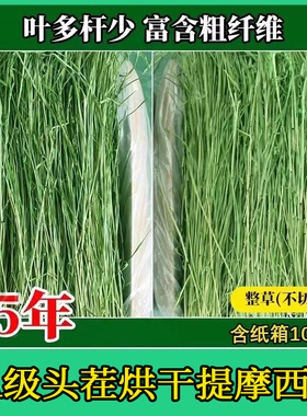 25年烘烤提摩西草烘干提摩西草段北提荷兰猪龙猫豚鼠兔子牧草嫩草