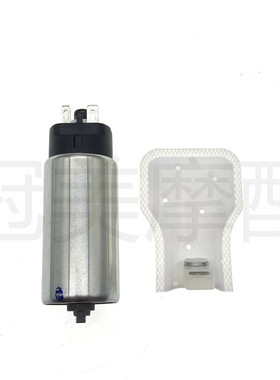 适用龙嘉摩托车v途v霸v咖250 LJ250-V 汽油泵芯 马达 油过滤网