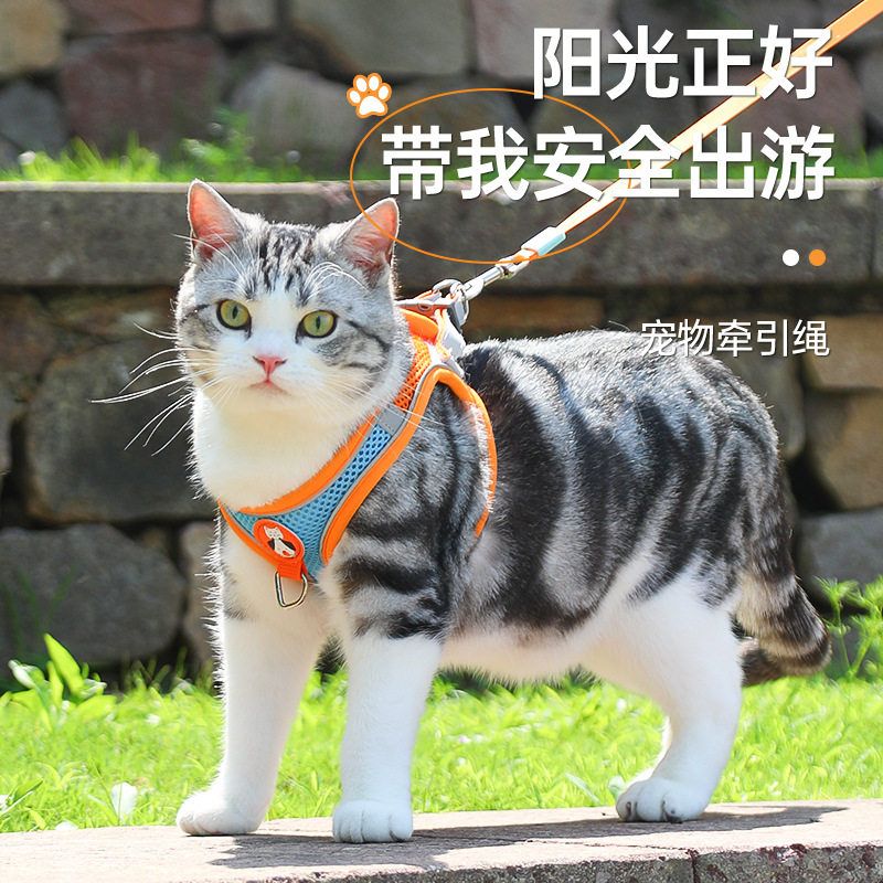 狗狗牵引绳反光防挣脱舒适透气不勒脖胸背带小型犬溜猫猫咪绳子