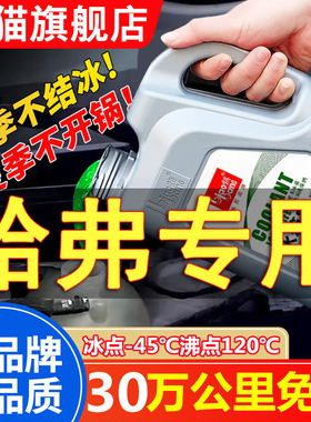 专用哈弗H6H2H9H4H5M6H1H7汽车防冻液发动机冷却液水箱宝红色绿色