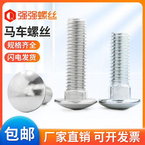 强强浙江温州镀锌/不锈钢圆头