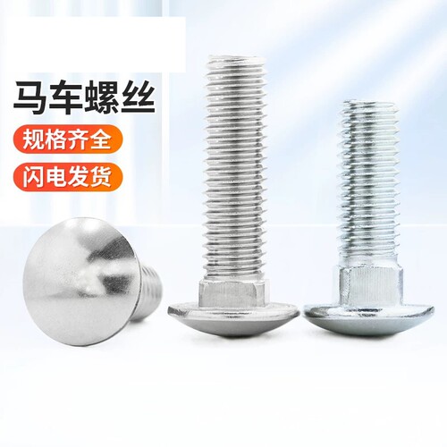 强强浙江温州镀锌/不锈钢圆头