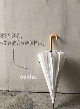 适合拍照治愈纯色长柄雨伞防风