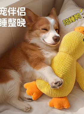 狗狗玩具毛绒陪睡鸭耐咬磨牙发声解闷小中型犬宠物发声玩具小黄鸭