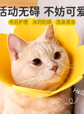 伊丽莎白圈猫绝育项圈猫咪头套防咬围脖伊利莎白圈狗脖圈宠物用品