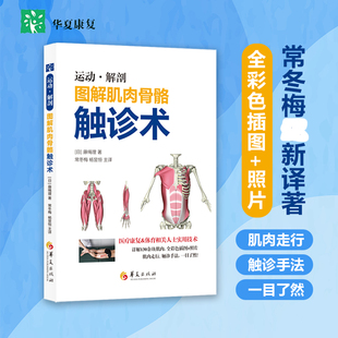 图解肌肉骨骼触诊术 医学运动解剖触诊技术书籍