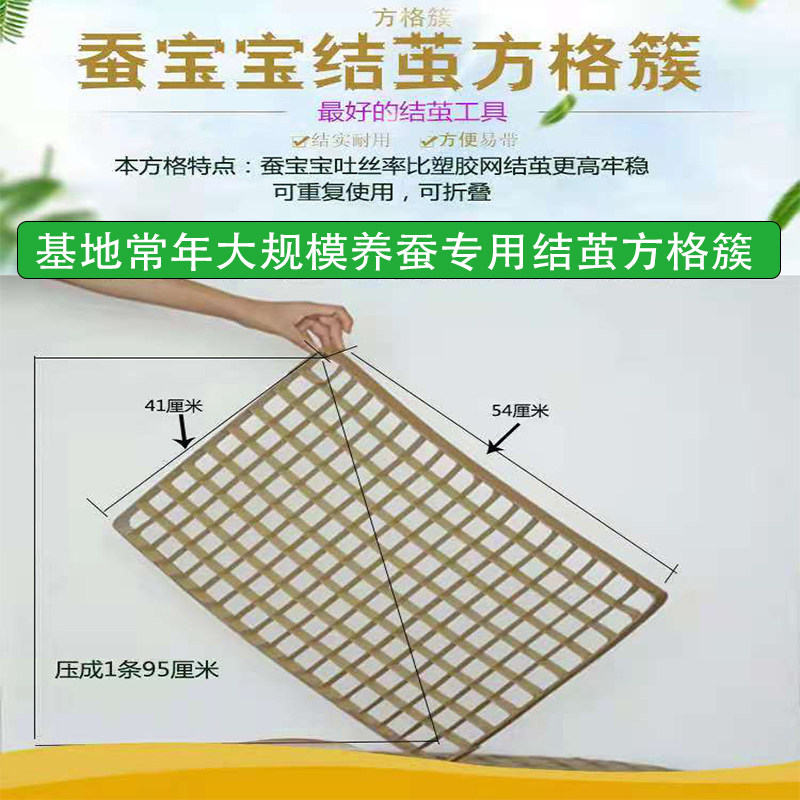 蚕宝宝活体吐丝专用工具方格簇学生养蚕结茧1个可结162个活蚕拉丝