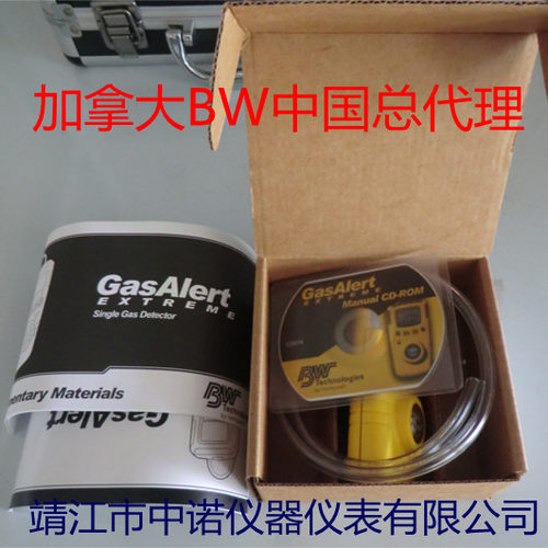 加拿大BW原装正品氨气泄漏检测仪GAXT-A特价促销泄漏报警器进口