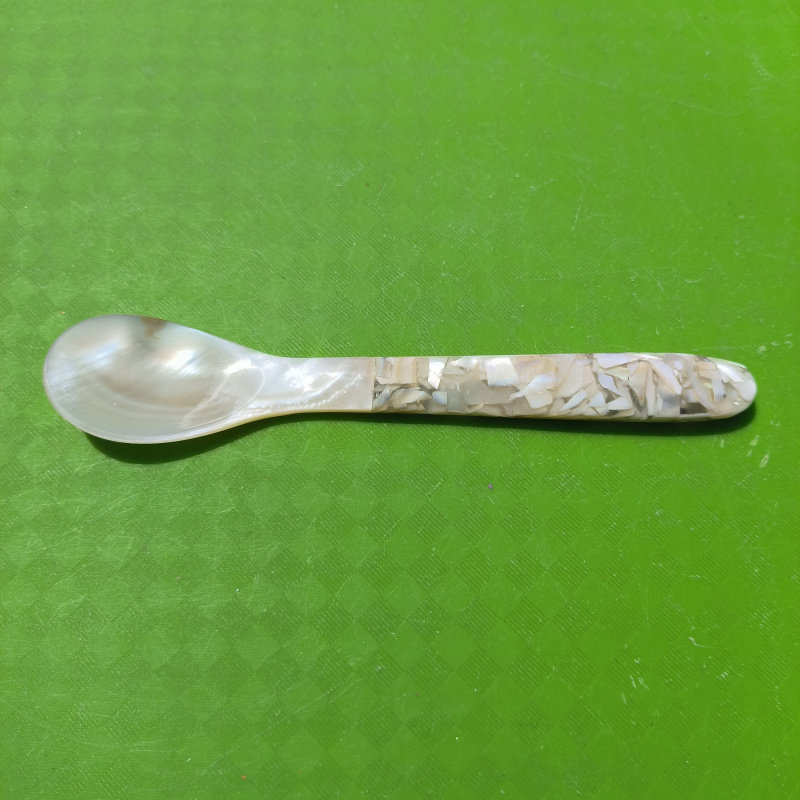 天然贝壳小勺子可爱精美光亮炫彩碎花珍珠母贝月光螺西餐勺调羹