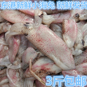 丹东东港特产新鲜小乌贼 鲜活海兔 刚下船的小墨鱼 八爪鱼3斤包邮