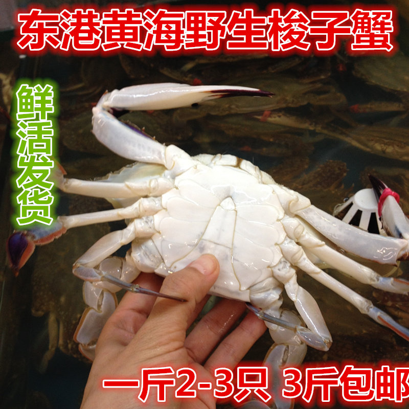 丹东东港特产大母飞蟹 螃蟹梭子蟹野生黄海大蟹子大公蟹包邮鲜活