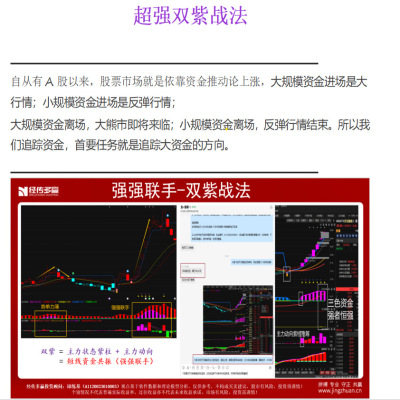 经传多赢机构版指标主力动向主力状态控盘短线爆发龙头双紫战法