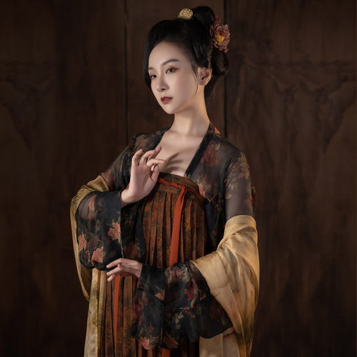 【绝版赏析】襦一坊丨太平赋 唐齐胸衫裙真丝香云纱复原汉服女 - 封面