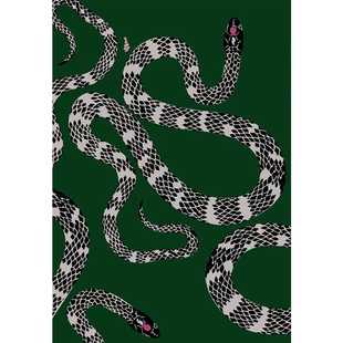 由内家居youneihome现代艺术设计蛇动物图案几何图形定制羊毛地毯