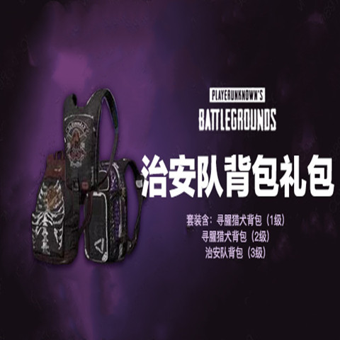 PUBG绝地求生吃鸡治安队背包礼包皮肤CDK治安队1级2级3级背包端游