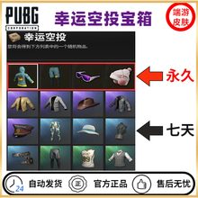 PUBG绝地求生幸运空投宝箱吃鸡滑雪镜箱子针织帽鸡警套兑换码CDK