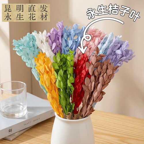 永生桔叶干花束婚庆家居装饰