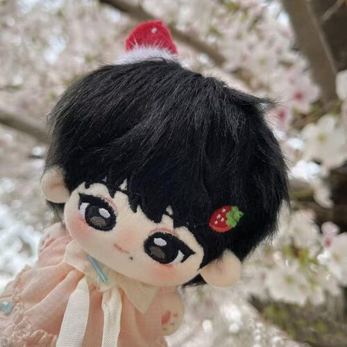 我们的少年时代2王橹杰付彬言属性10cm棉花娃娃一件代发