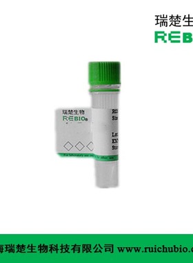 F0008	BAFF, Human 
98 %  蛋白多肽[科研用]