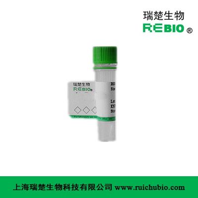 IF0005 GFP 绿色荧光蛋白 增强型 2mg [科研用]