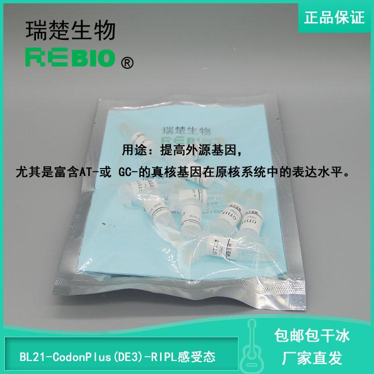 顺丰包邮包干冰BL21-CodonPlus(DE3)-RIPL化学转化感受态细胞10支