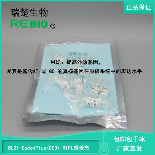 顺丰包邮包干冰BL21-CodonPlus(DE3)-RIPL化学转化感受态细胞10支