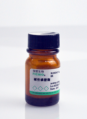 包邮生化试剂 碱性磷酸酶 R12022417 适合于 GB 5009.210-2016