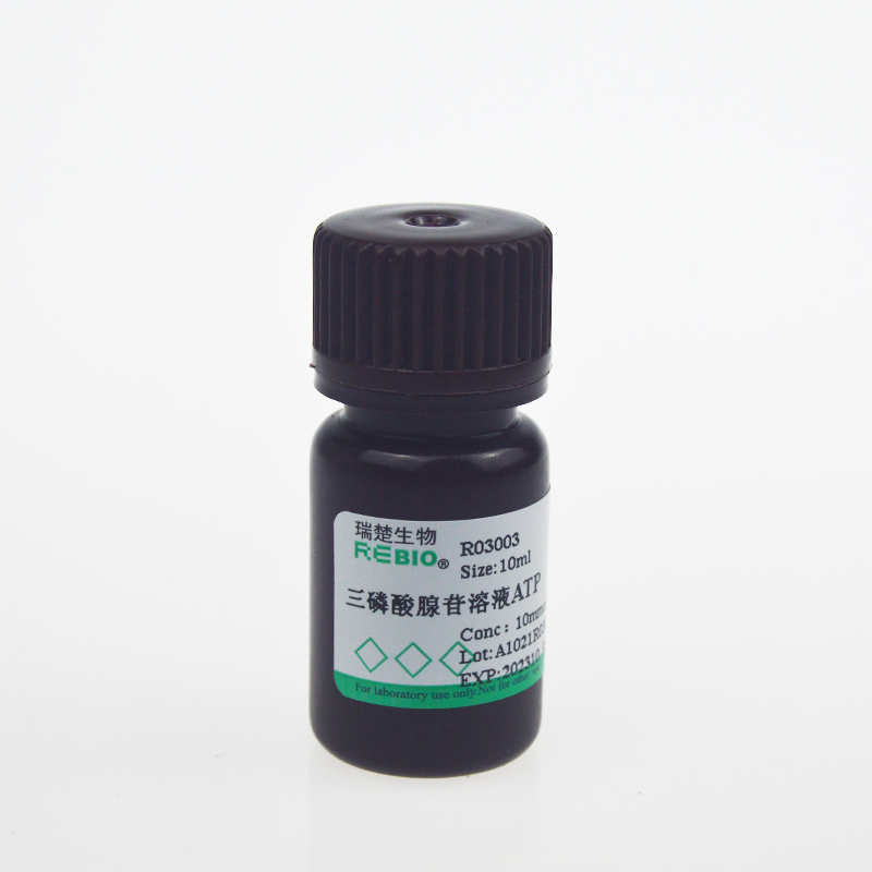 PCR试剂 三磷酸腺苷溶液(ATP,10mmol/L) 10ml REBIO R03003