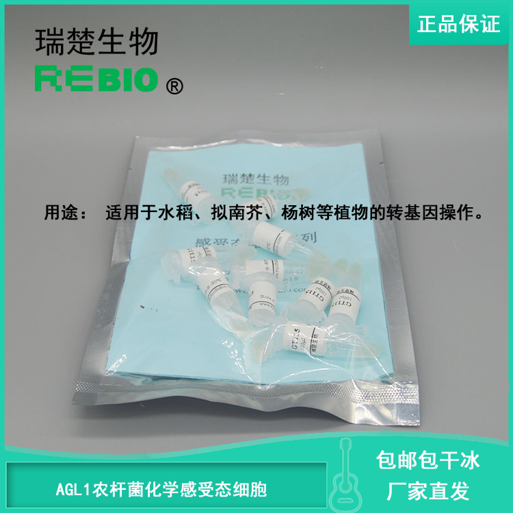 顺丰包邮包干冰AGL1农杆菌化学感受态细胞根癌农杆菌10支20支30支