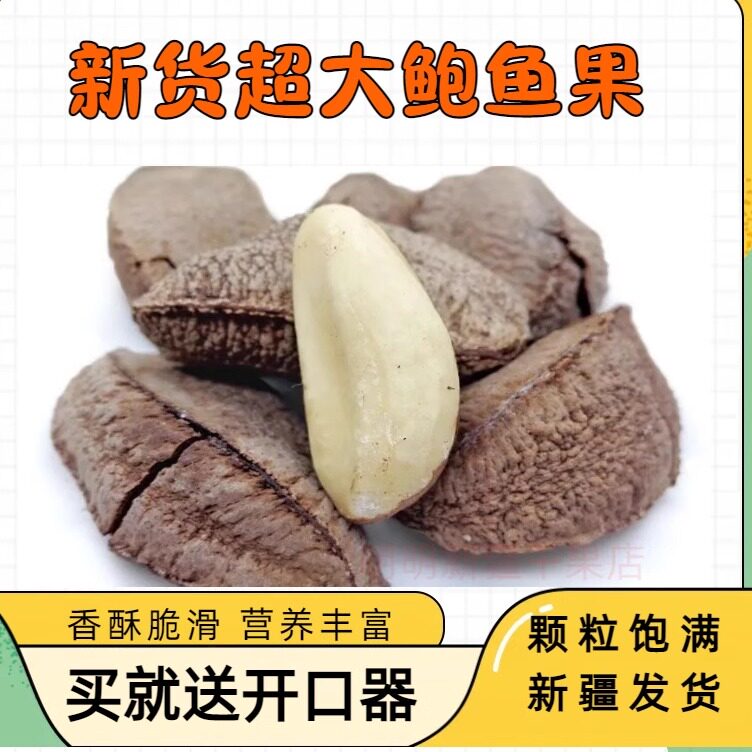 坚果鲍鱼新疆特产沙漠500g全国图片