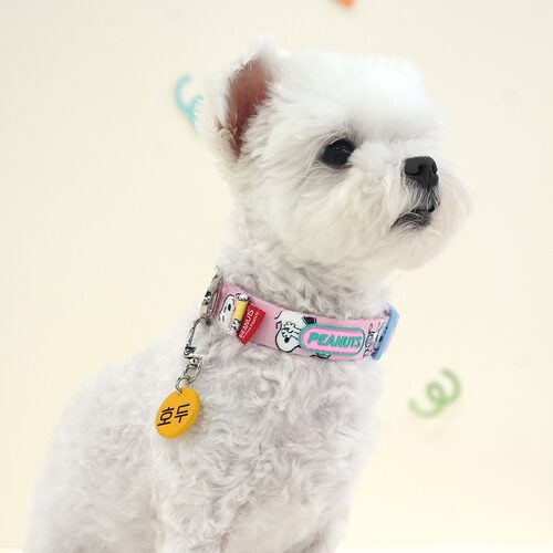 Parisdog史努比项圈中小型犬猫咪