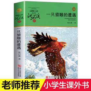 一只猎雕的遭遇 沈石溪动物小说品藏书系升级版 小学生课外阅读书籍6-12岁青少年版儿童文学三四五六年级儿童文学故事畅销书