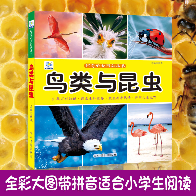 昆虫园丁鸟启蒙认知鸟类