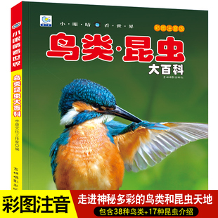 鸟类昆虫百科全书注音幼儿科普书幼儿园小学生大百科书鸟类王国绘本小百科读物全套科学认知少儿儿童3 12岁书籍dk