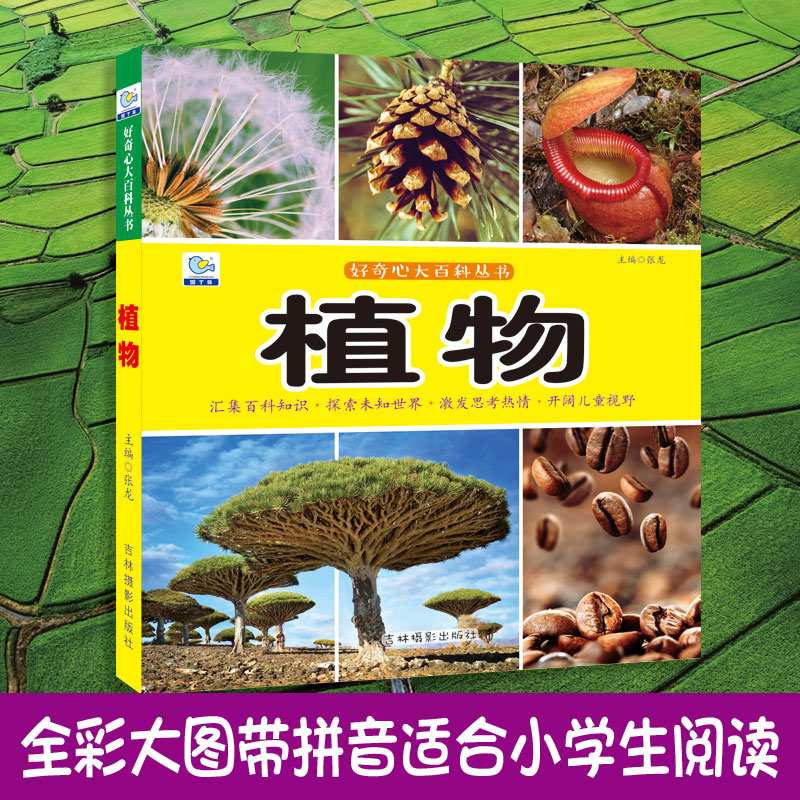 百科园丁鸟启蒙认知植物