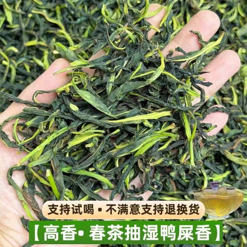 凤凰单枞抽湿鸭屎香大乌叶蜜兰香